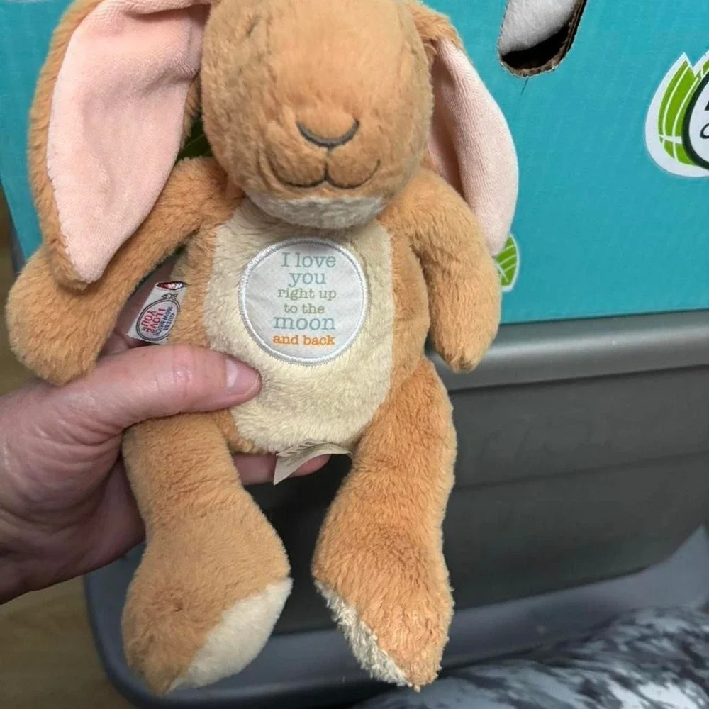Brown and Tan Bunny Rabbit